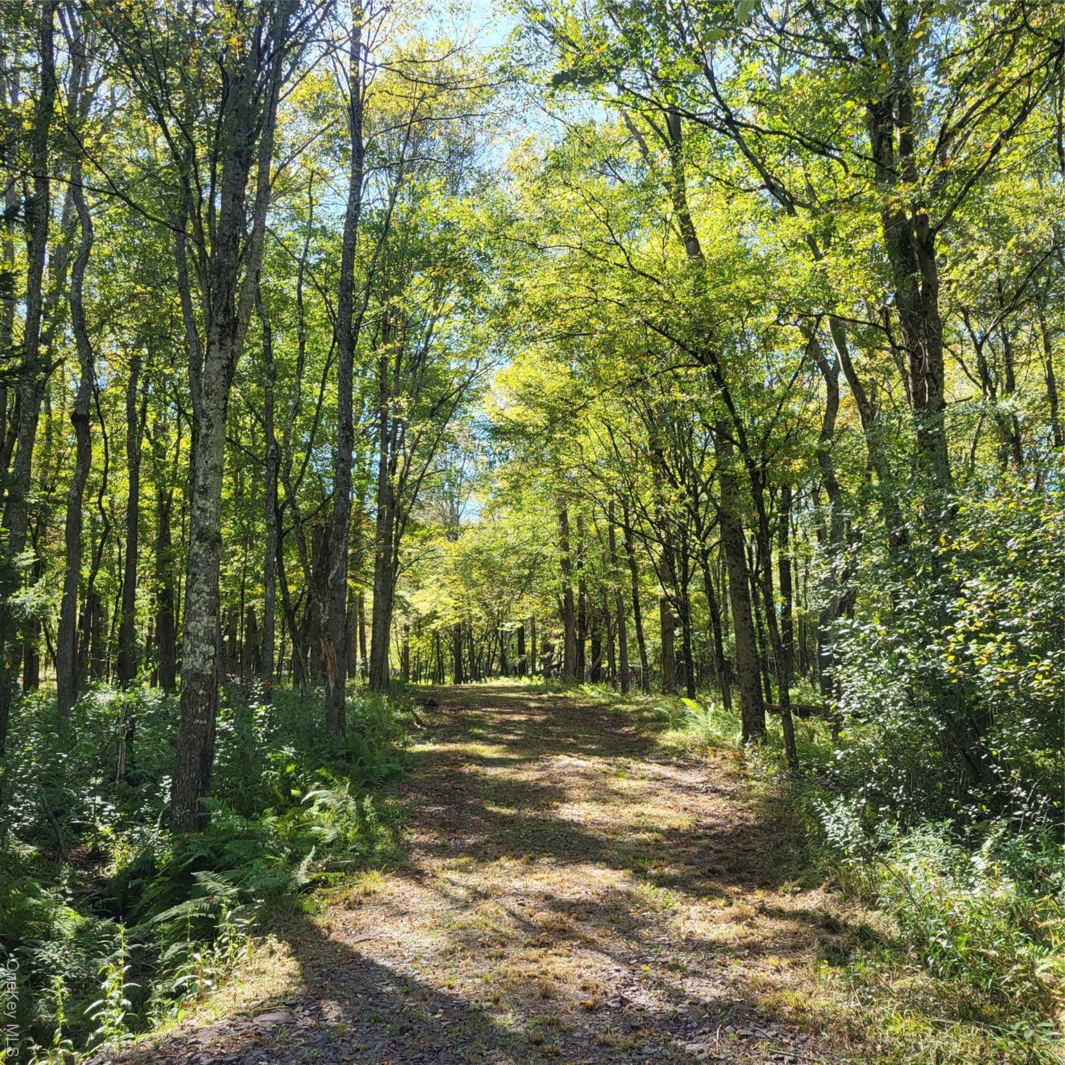 Swan Lake, NY 12720,TBD Stephenson RD