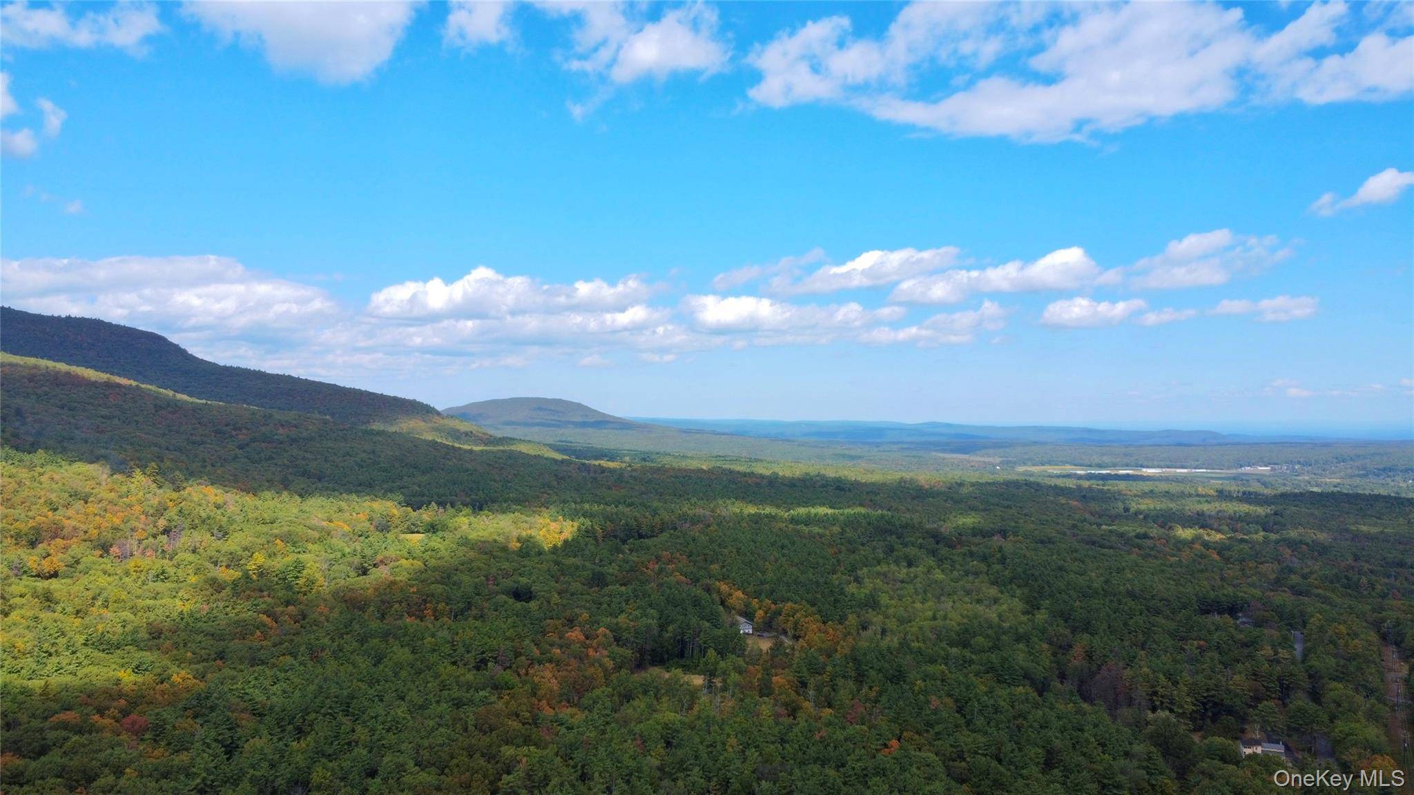 Palenville, NY 12414,113 Justy DR