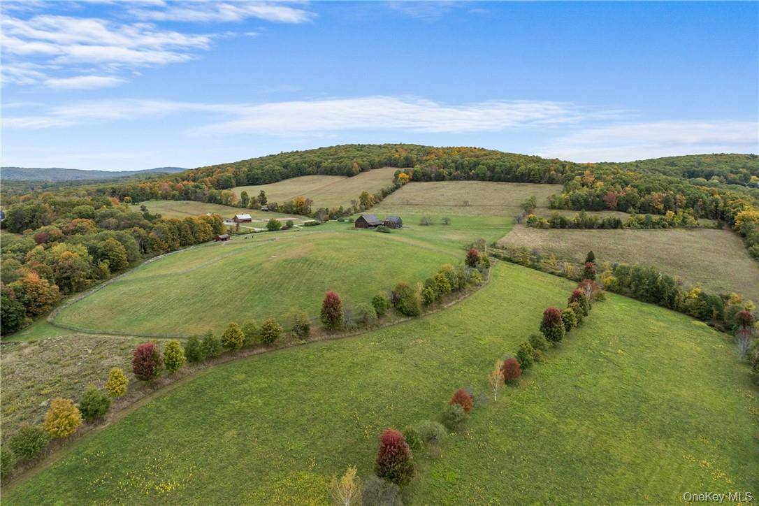 Ancramdale, NY 12503,118 Finkle RD