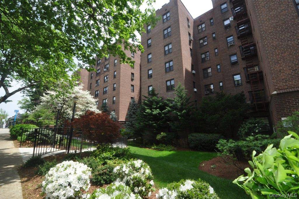 Scarsdale, NY 10583,142 Garth RD #4A