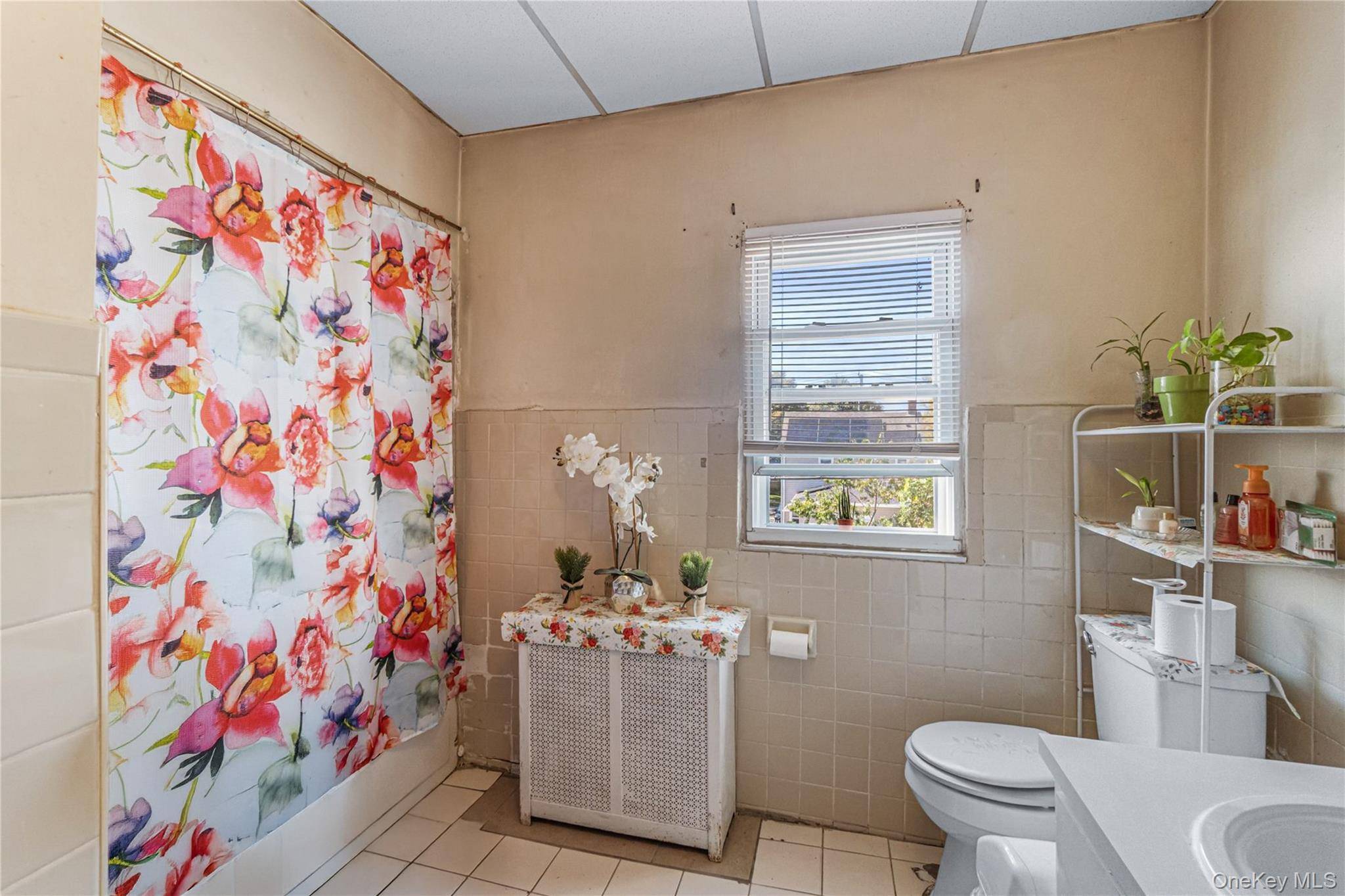 Queens Village, NY 11428,90-36 Francis Lewis BLVD