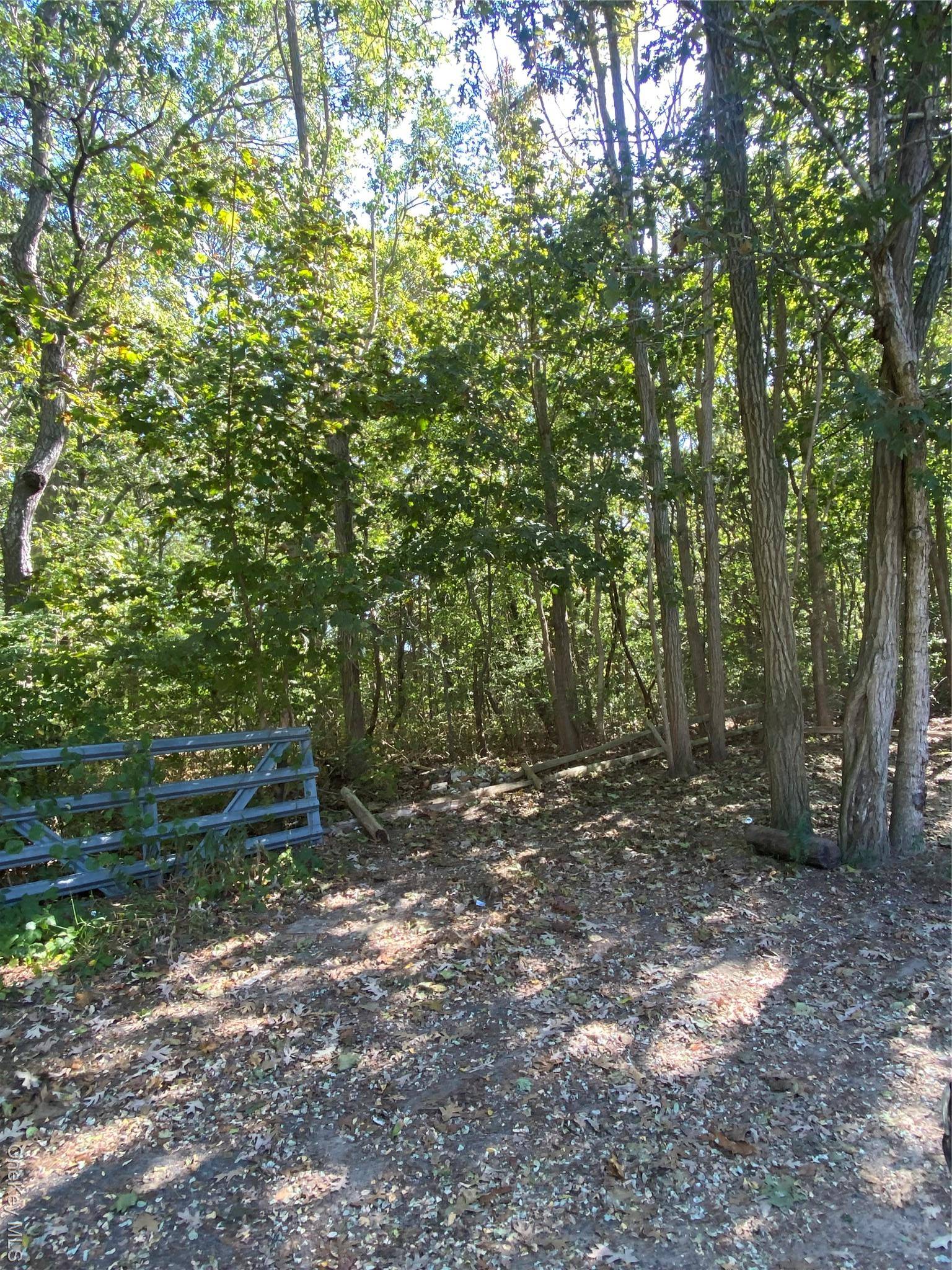 Patchogue, NY 11772,N Ocean AVE