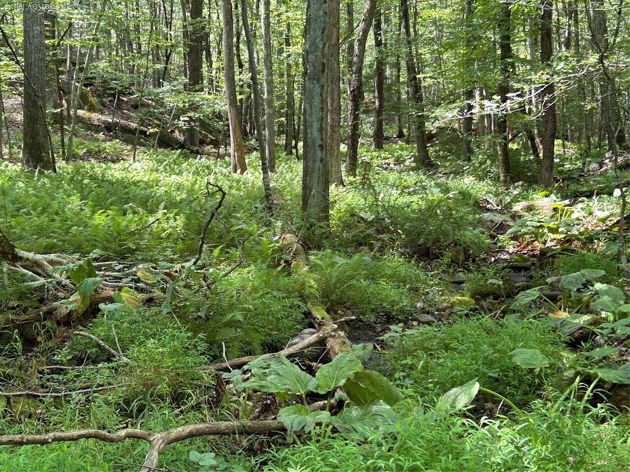 Pound Ridge, NY 10576,98 Eastwoods RD