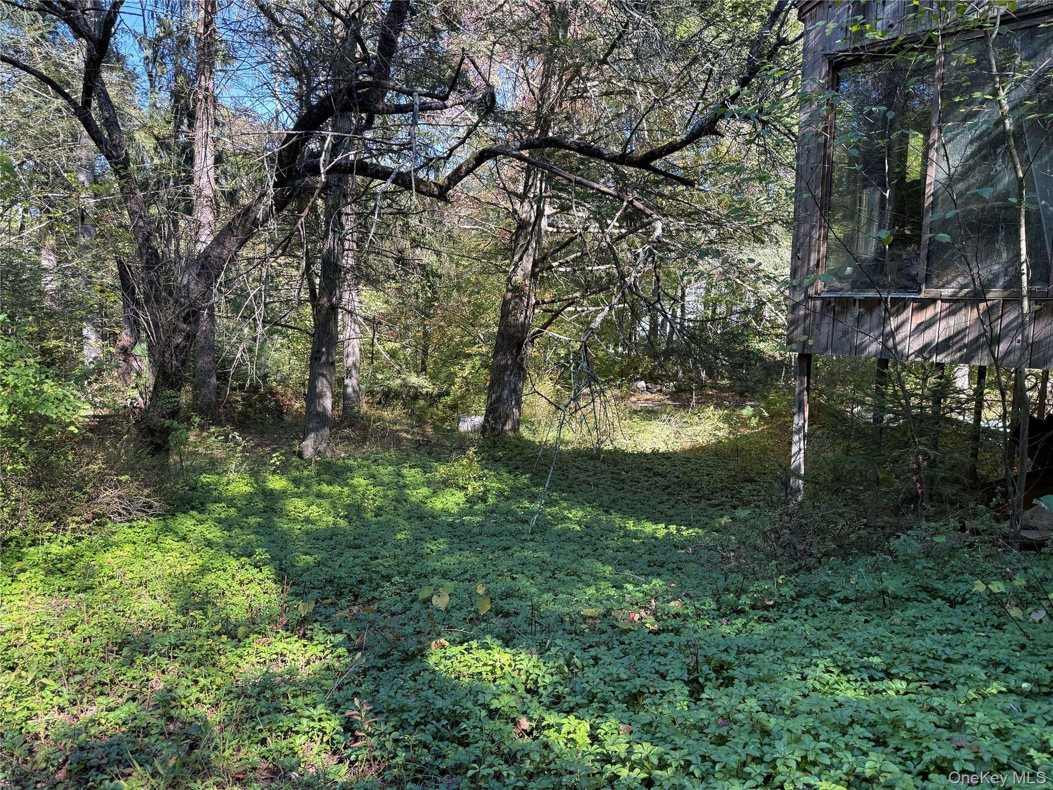 Pound Ridge, NY 10576,98 Eastwoods RD