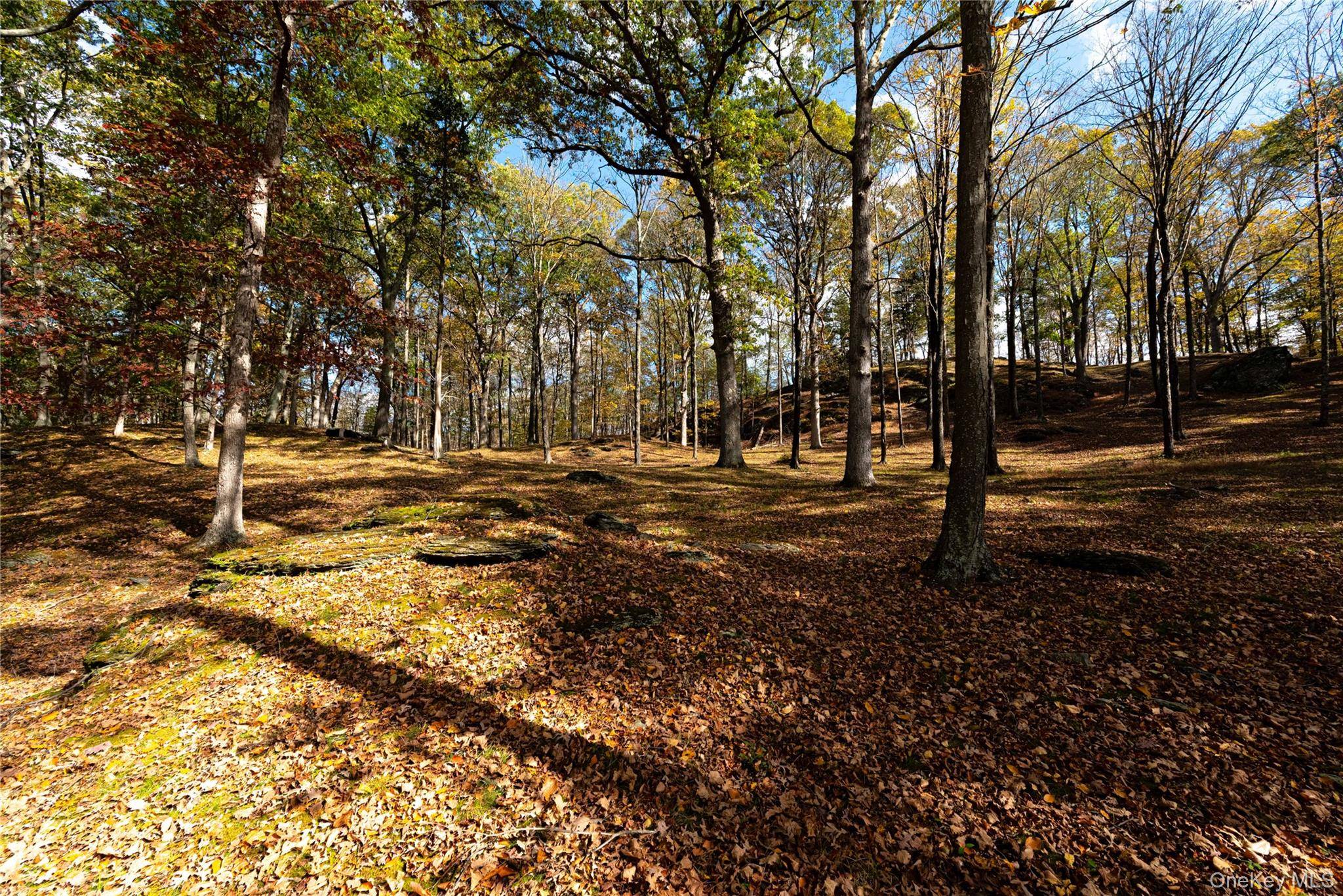 Warwick, NY 10990,31 W Lake RD