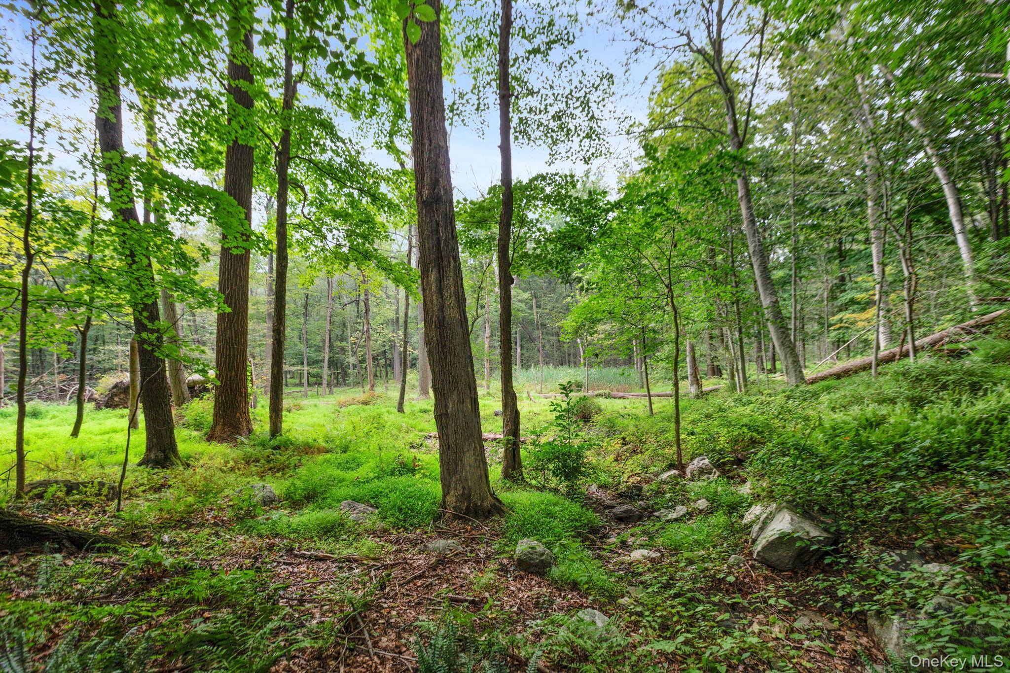 Bedford Corners, NY 10549,47 John Cross RD