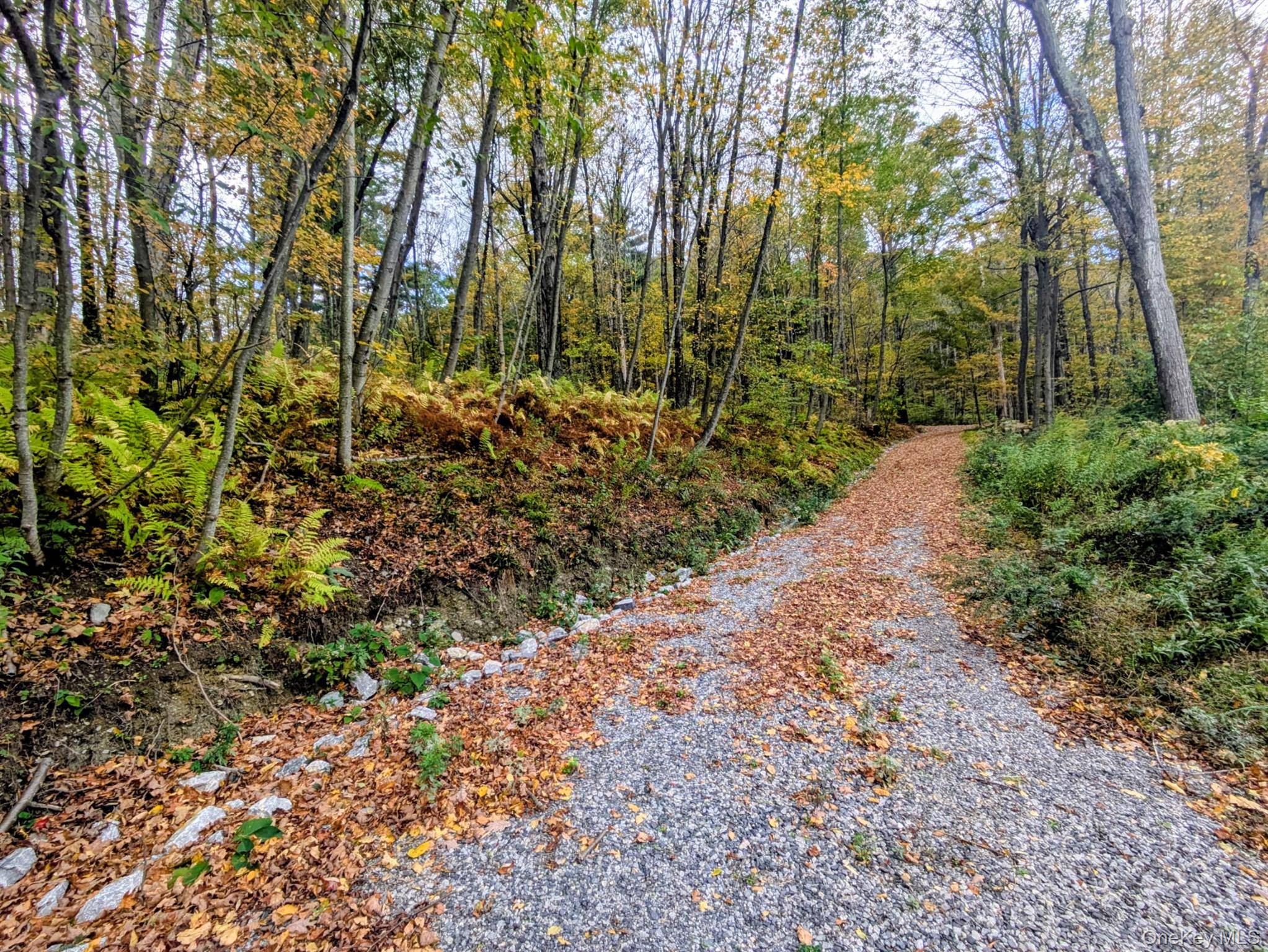 Stanfordville, NY 12581,Rt-199