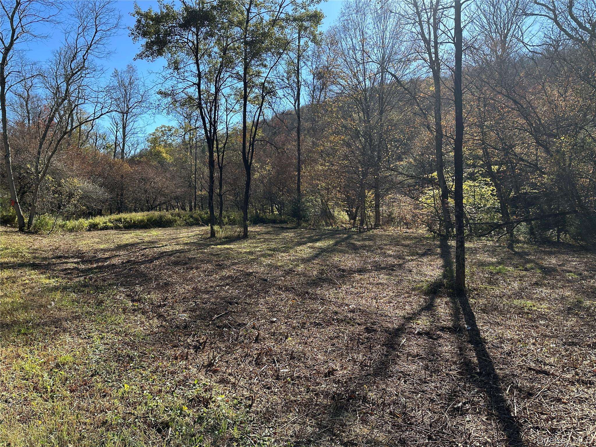 Livingston Manor, NY 12758,00 Old Route 17