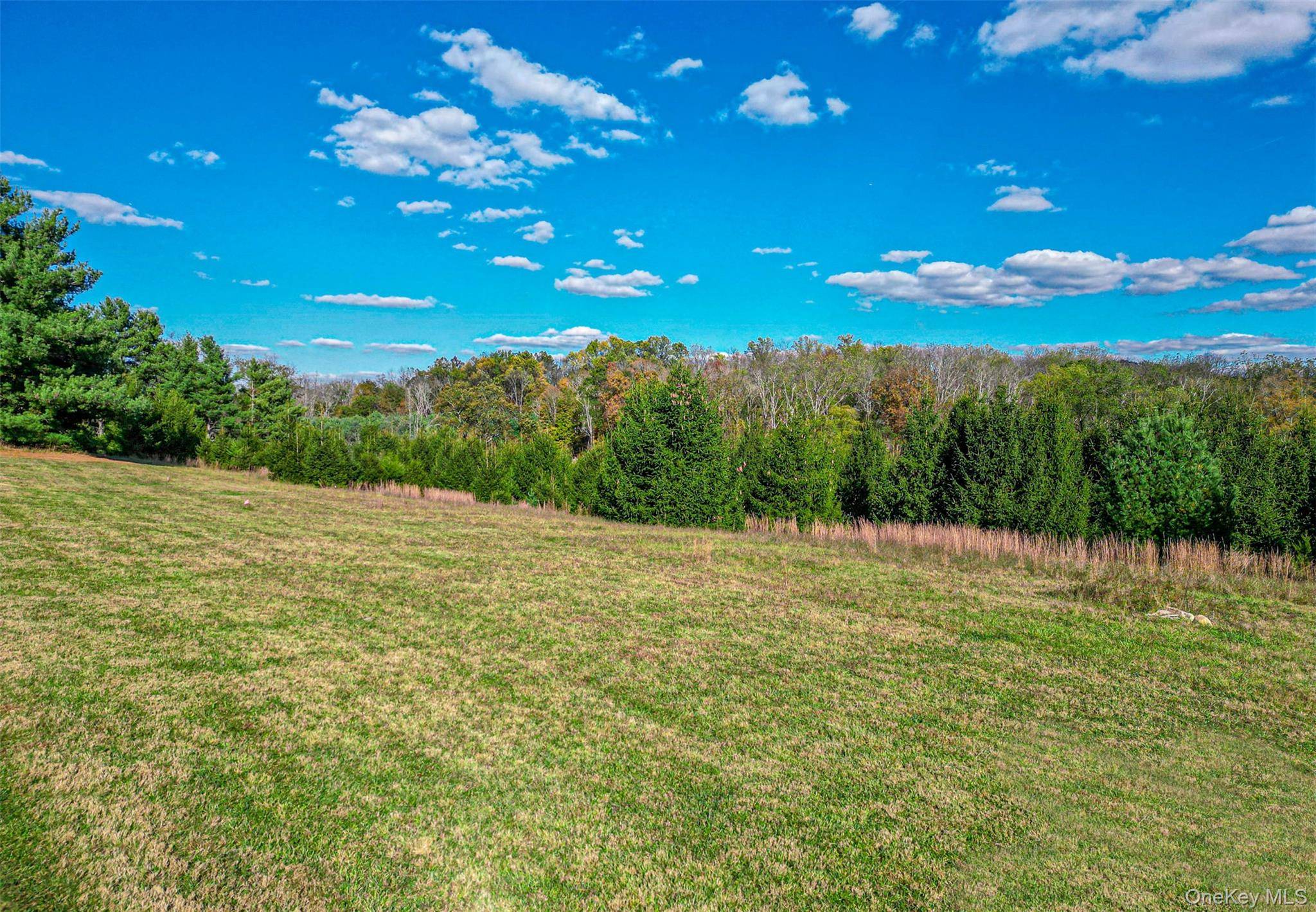 Warwick, NY 10990,3 Spruce Hill LN