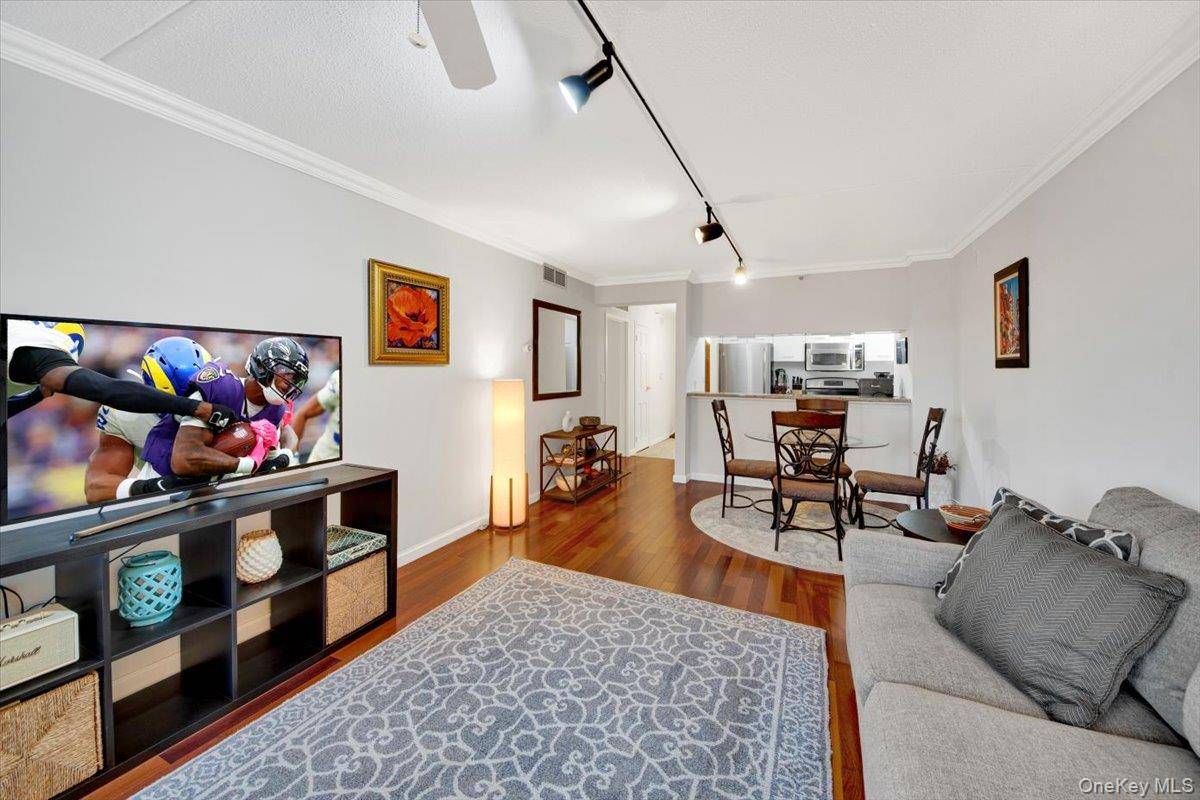 White Plains, NY 10606,4 Martine AVE #502