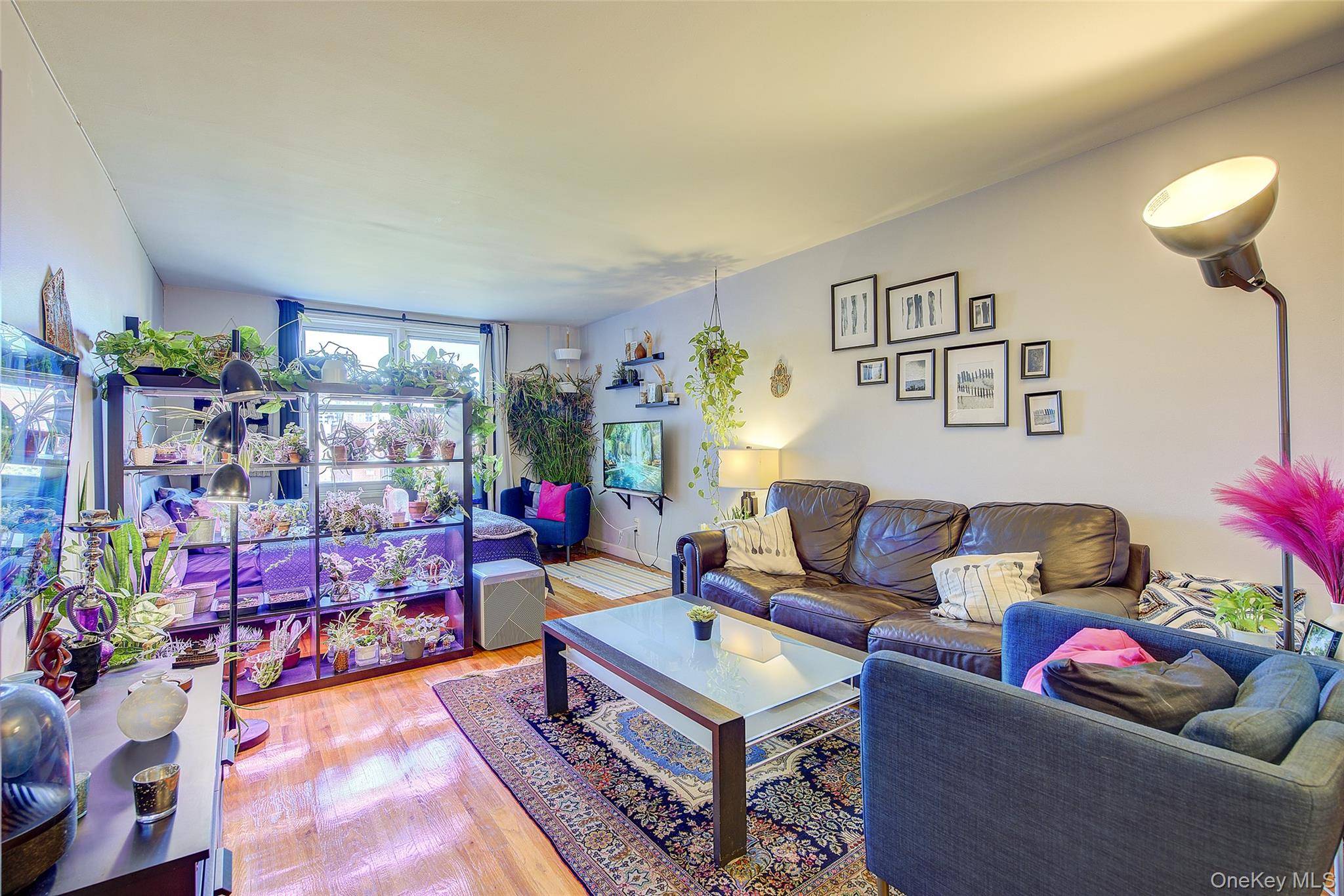 Rego Park, NY 11374,66-01 Burns ST #4N