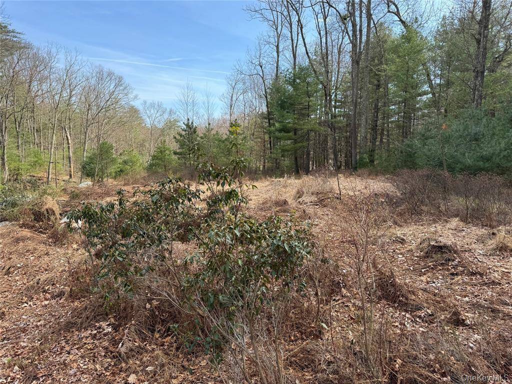 Bloomingburg, NY 12721,Echo RD