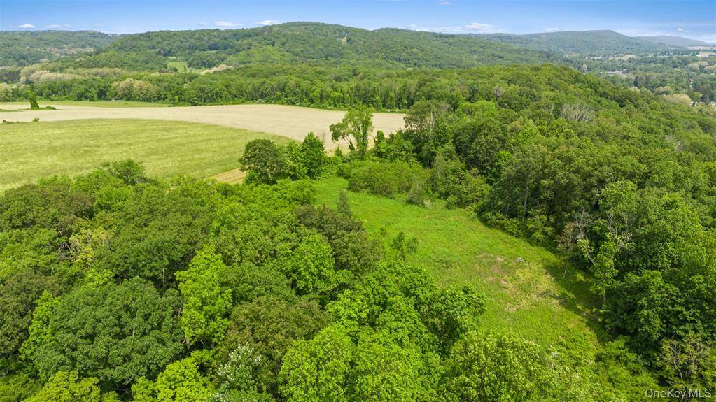 Millerton, NY 12546,0 Mill RD