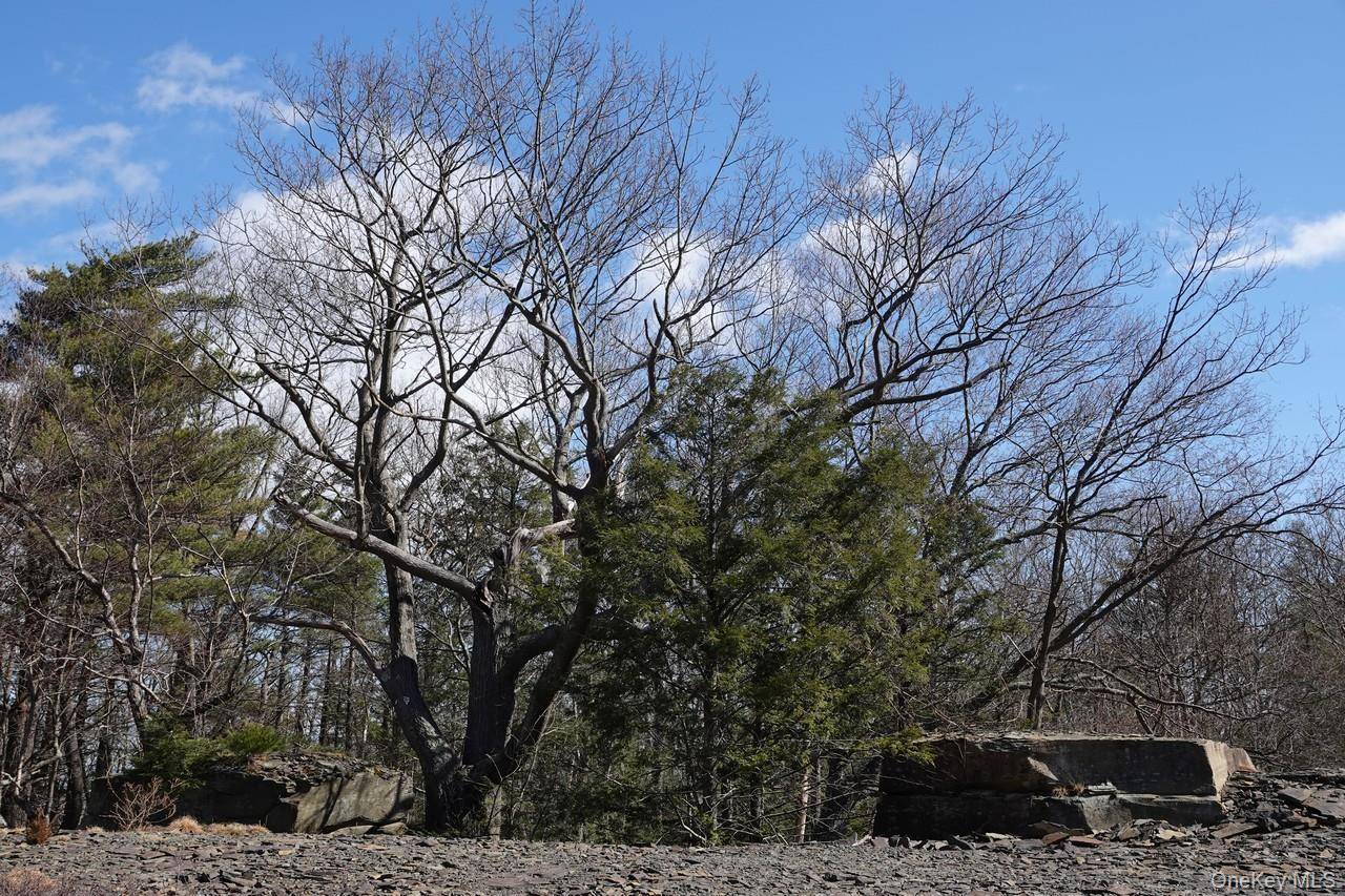 Saugerties, NY 12477,Tbd Manorville Road