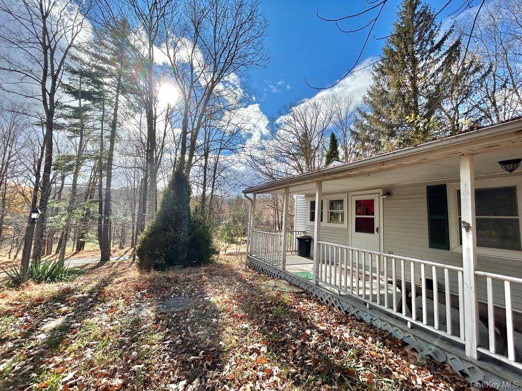 Spring Glen, NY 12483,335 Tempaloni Rd