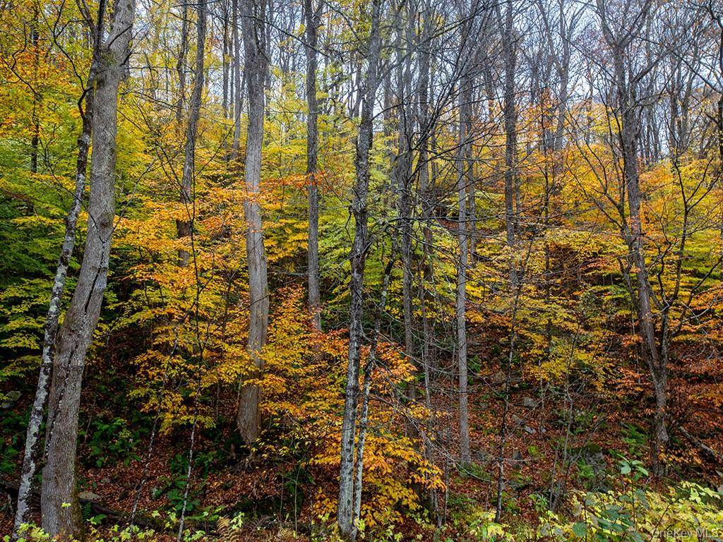 White Lake, NY 12786,3 Chapin Trail