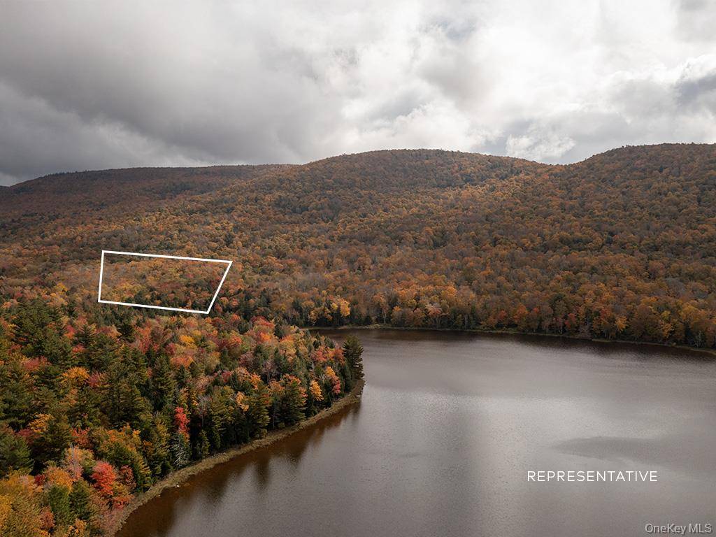 White Lake, NY 12786,3 Chapin Trail