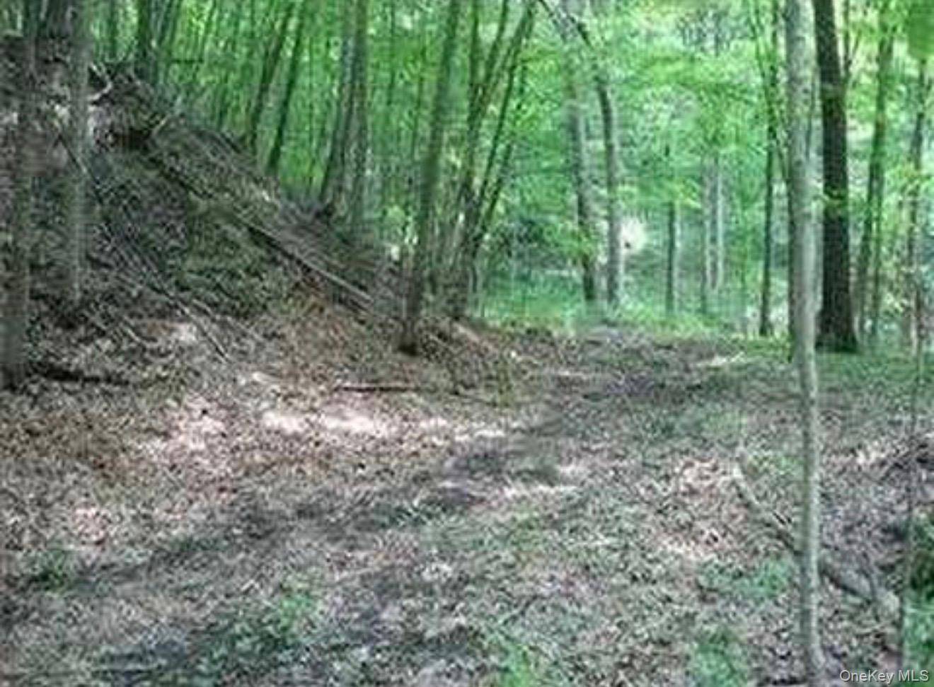 Staatsburg, NY 12580,6 Thompson DR