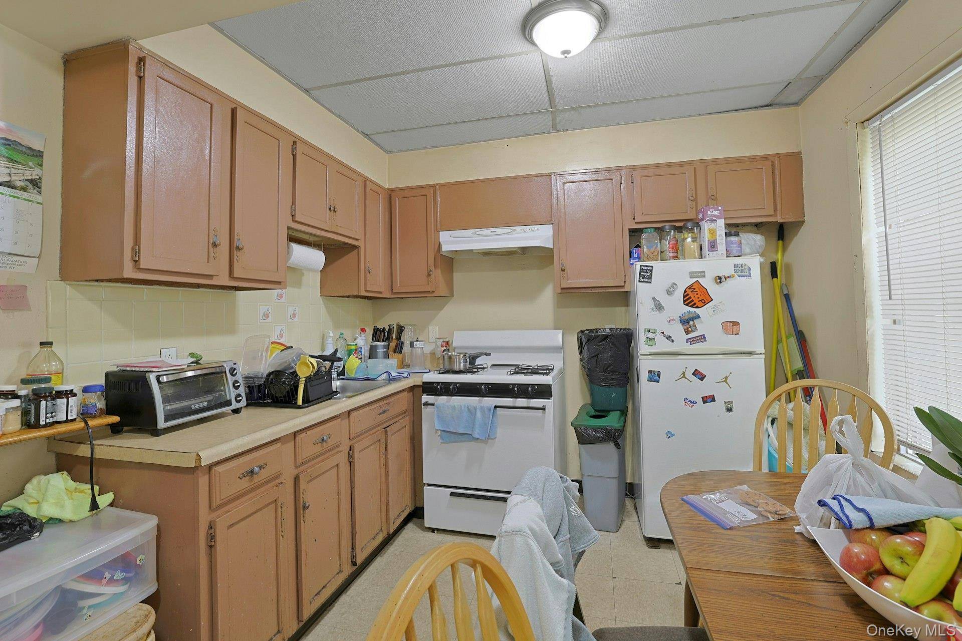 White Plains, NY 10603,91 Ferris AVE