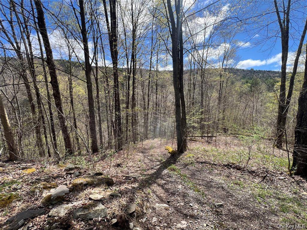 Delancey, NY 13752,1042 Huntley Hollow RD