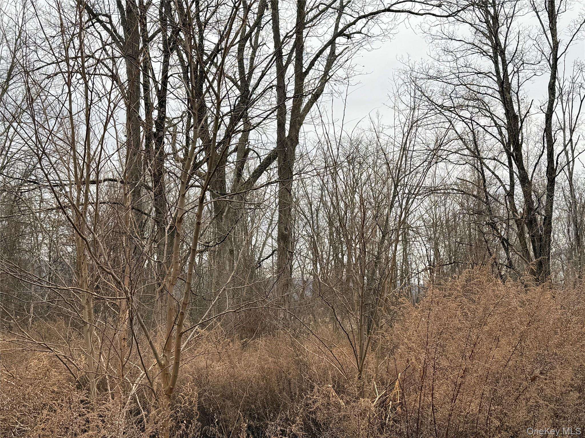 Warwick, NY 10990,16 Knights LN