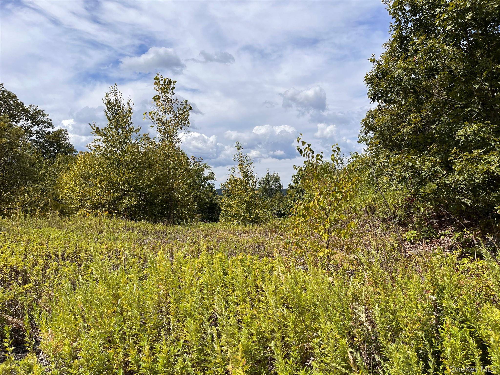 Lake Peekskill, NY 10537,31 Ridgecrest RD