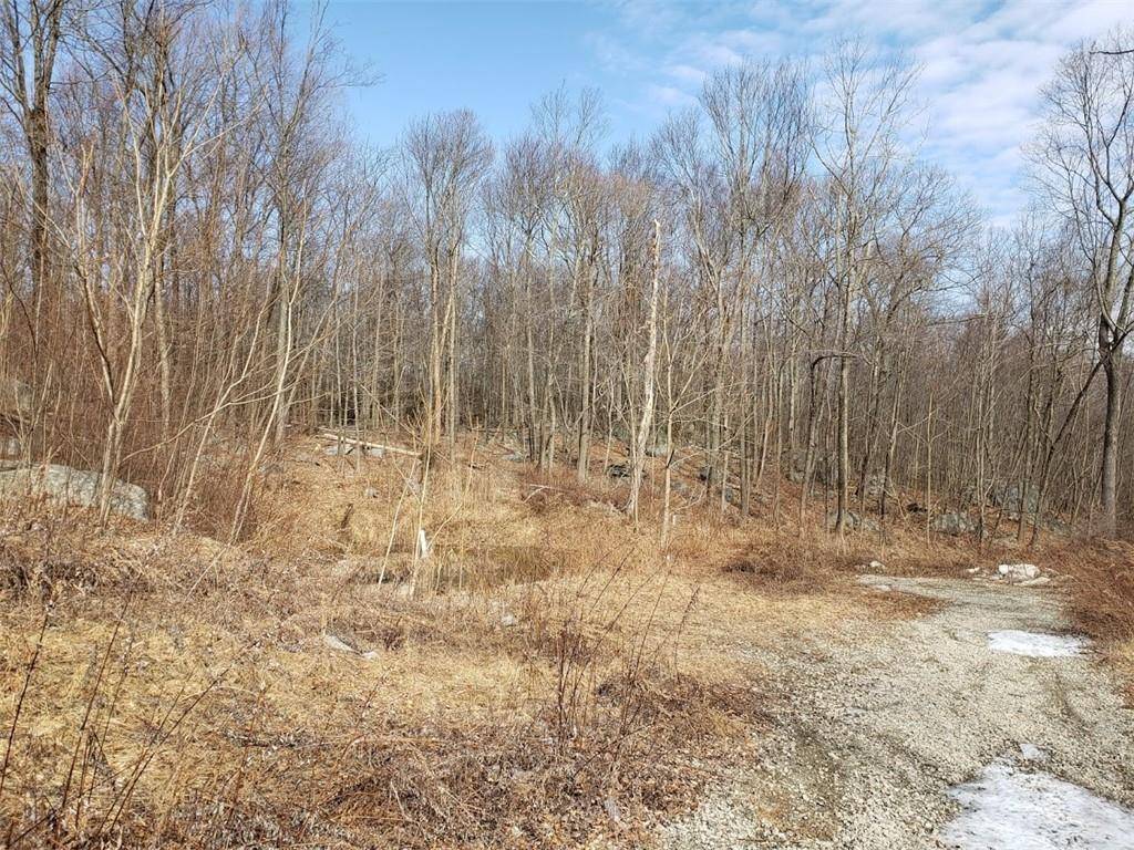 Holmes, NY 12531,S White Rock RD