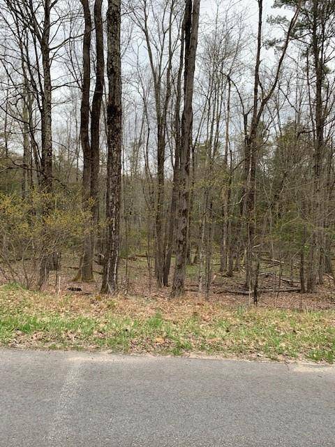 Swan Lake, NY 12783,Mt Hope RD