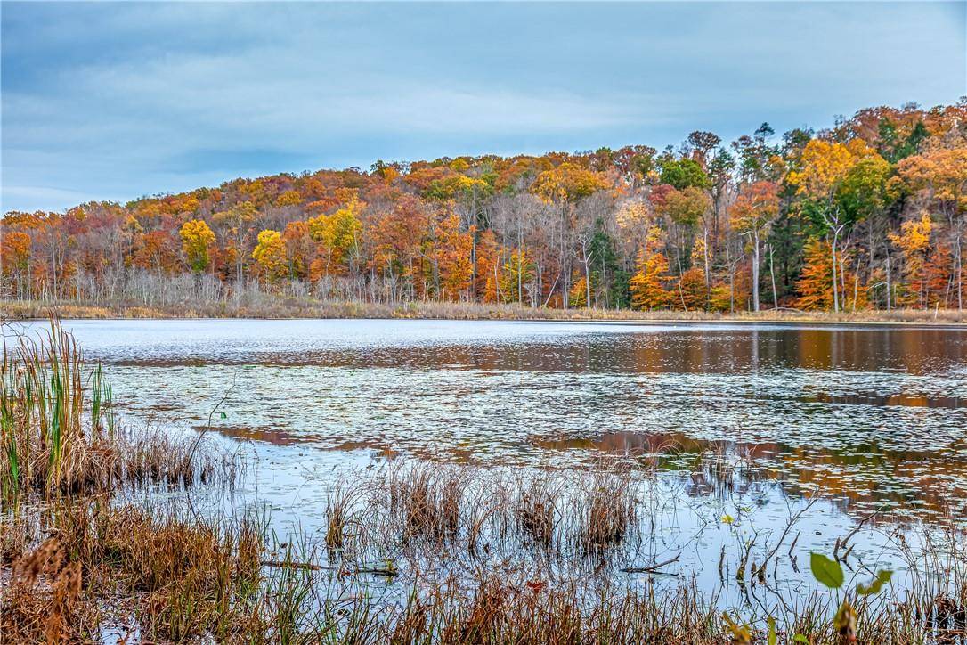 Patterson, NY 12563,90-100 Little Pond RD