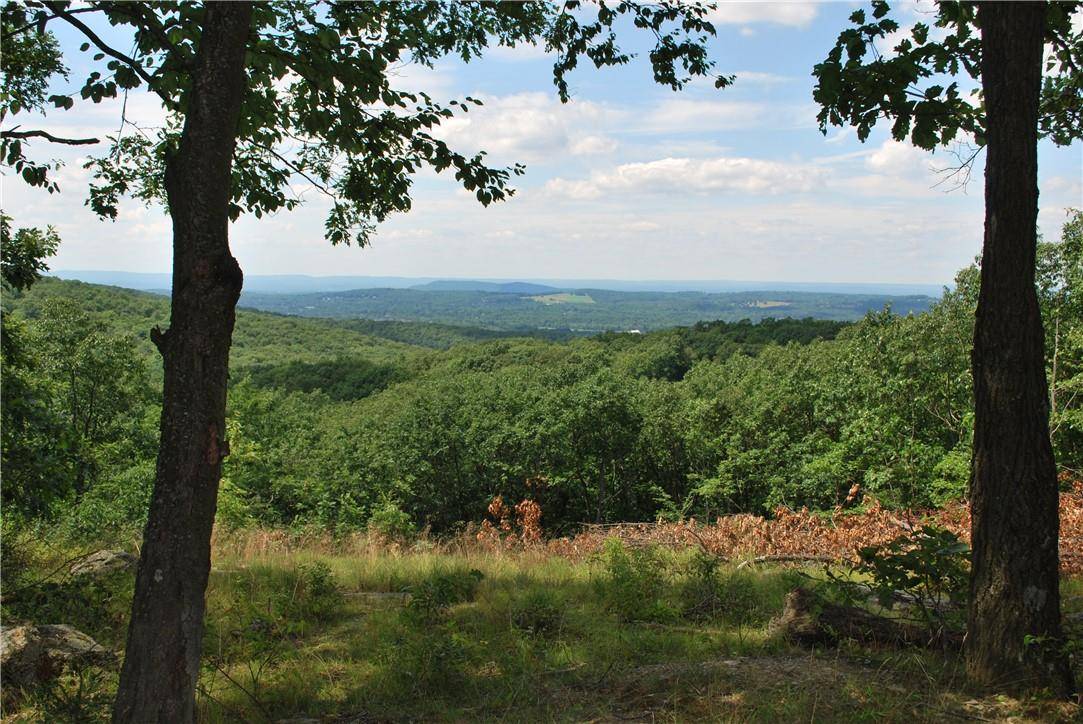 Warwick, NY 10990,26 Continental RD