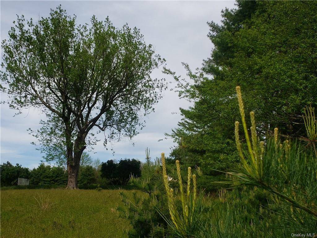 Highland Lake, NY 12743,Mud Pond RD