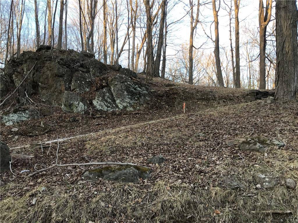 Pawling, NY 12564,S Quaker Hill RD