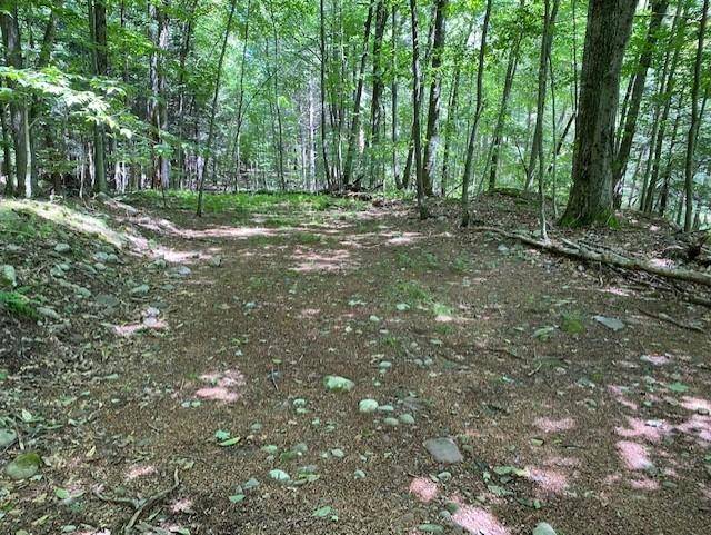 Bethel, NY 12720,Glenwild DR