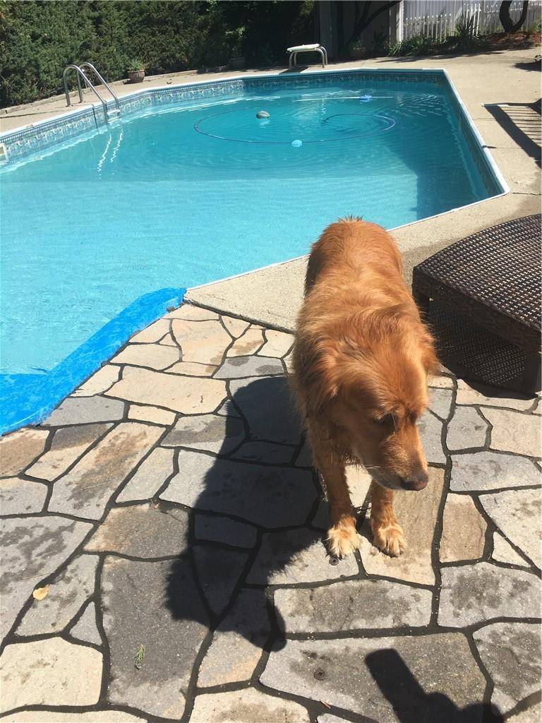 Orangeburg, NY 10962,5 Fern OVAL