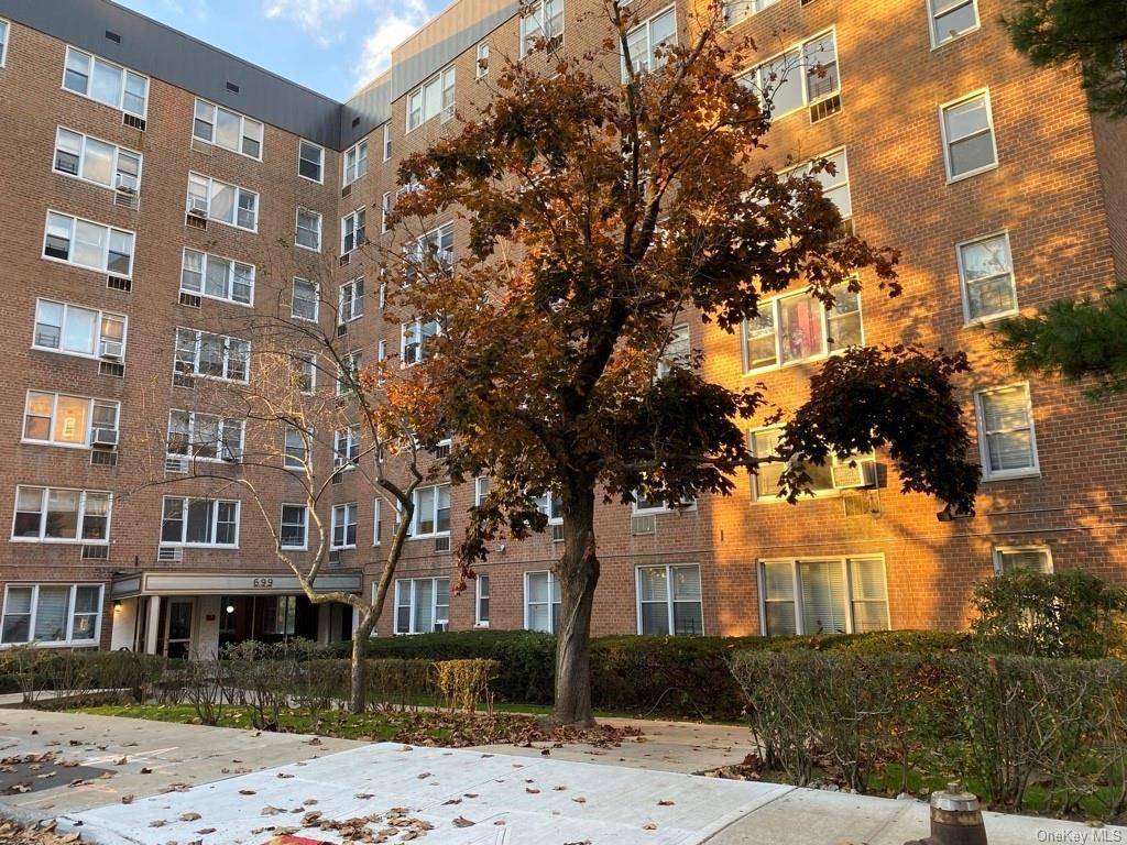 Bronx, NY 10463,699 W 239th ST #3D