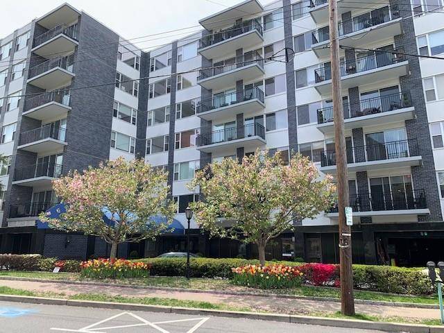 White Plains, NY 10605,20 Old Mamaroneck RD #2F