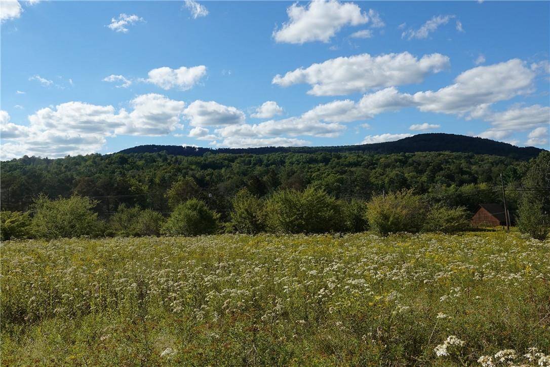 Liberty, NY 12754,State Route 55 Lot 1