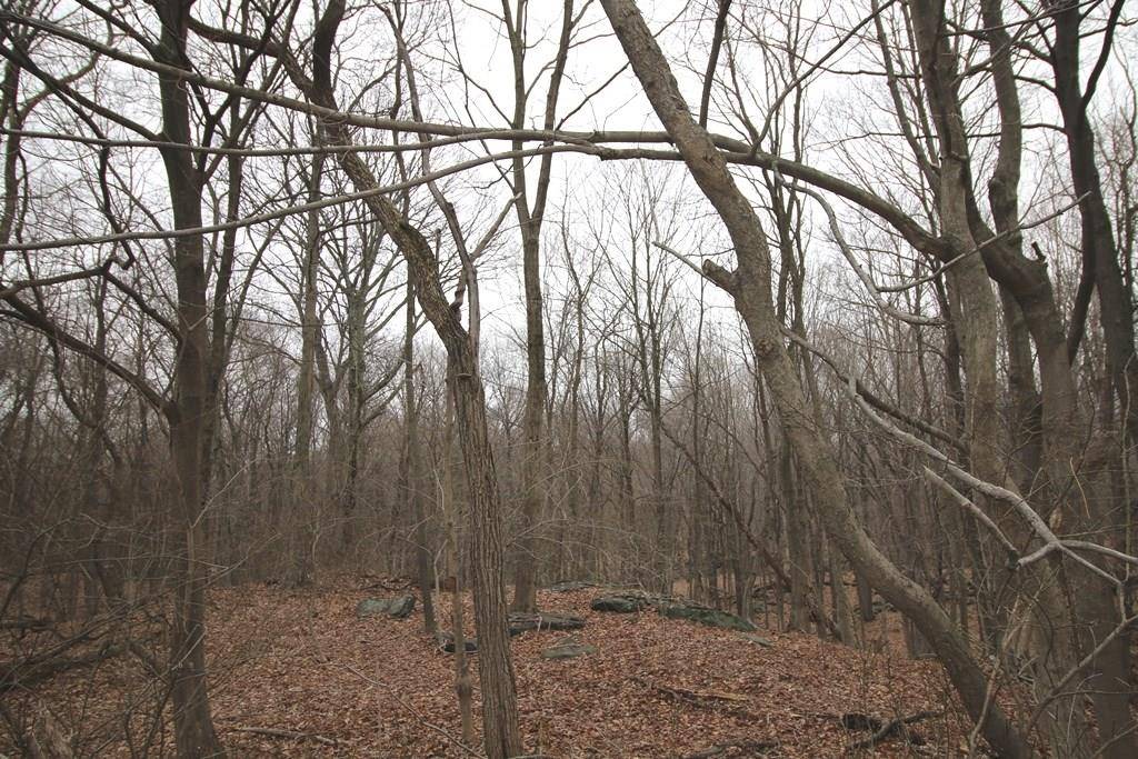 West Harrison, NY 10604,61 Buckout RD