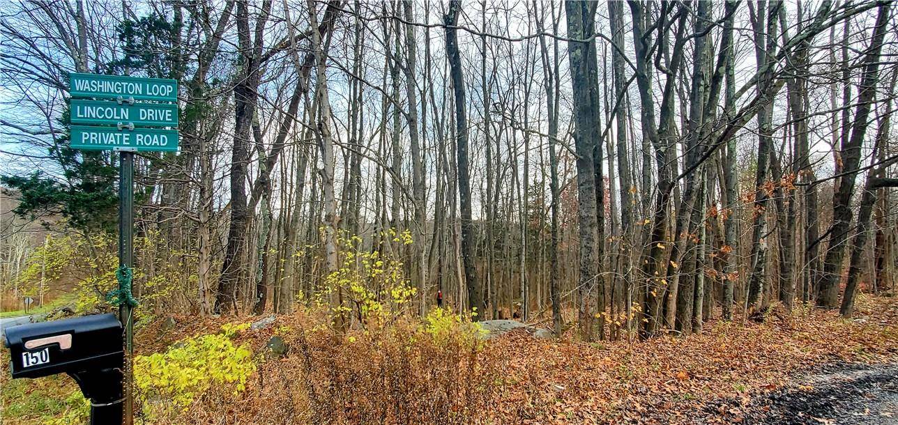 Wallkill, NY 12589,156 Huckleberry TPKE