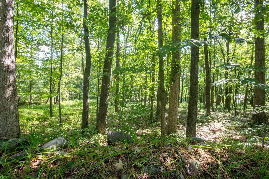 Modena, NY 12548,422 Freetown HWY