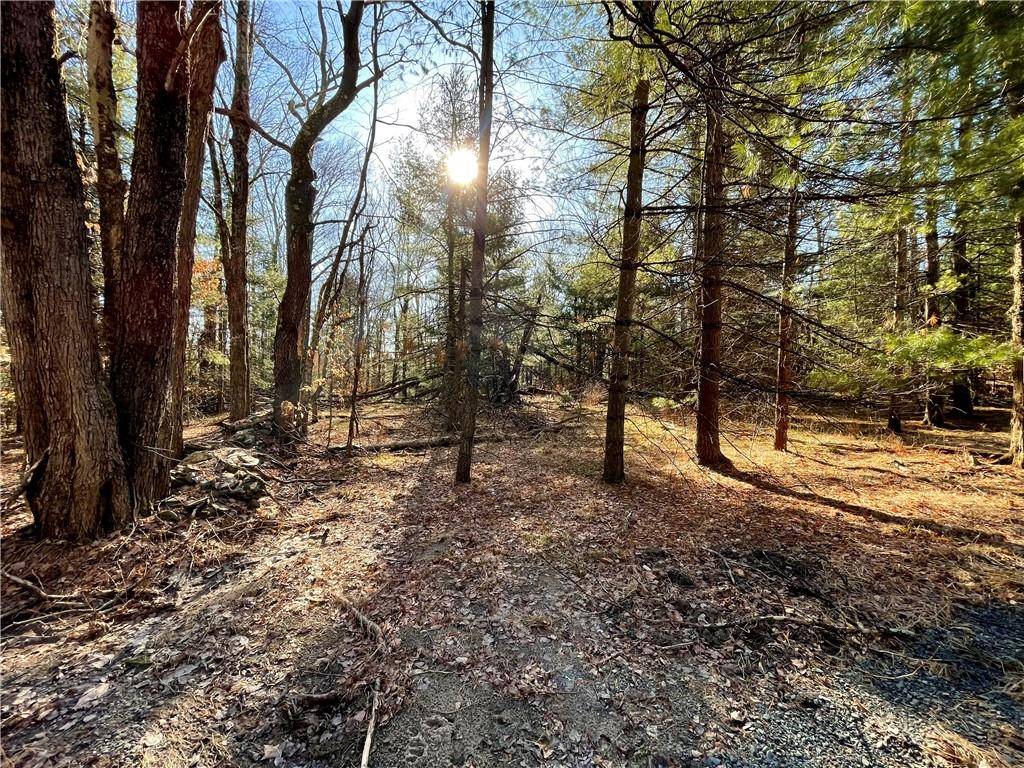 Bethel, NY 12720,Town Road 71