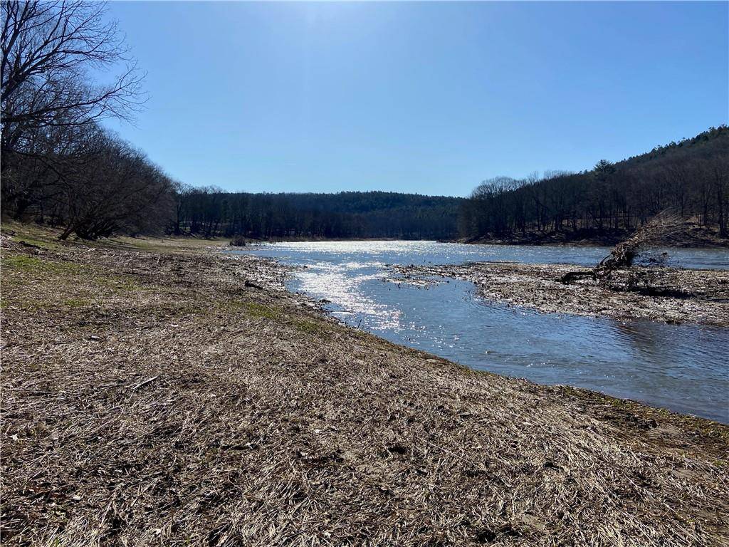 Beach Lake, PA 18405,15 River Song DR