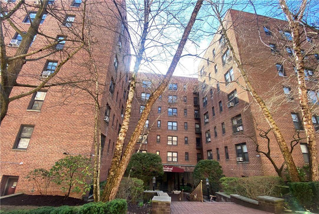 White Plains, NY 10601,10 Franklin AVE #6a