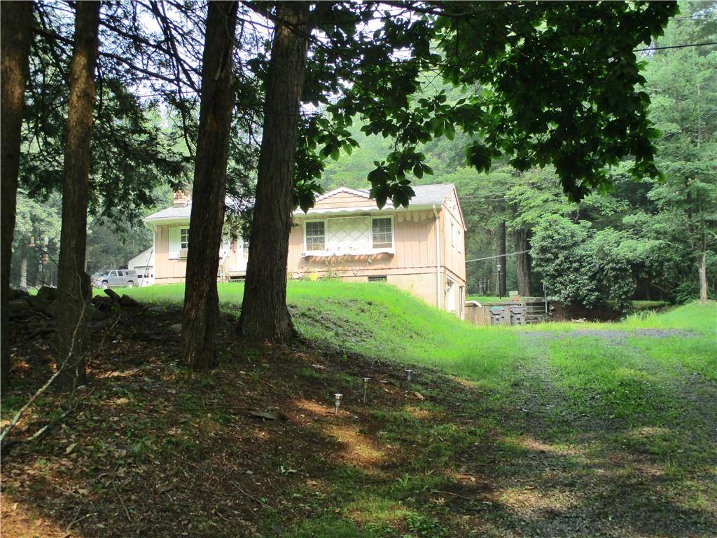 Sparrowbush, NY 12780,110 Old Cahoonzie RD