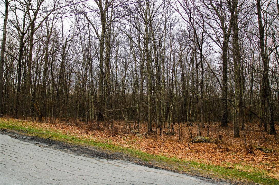 Cochecton, NY 12726,Lenni Lenape RD