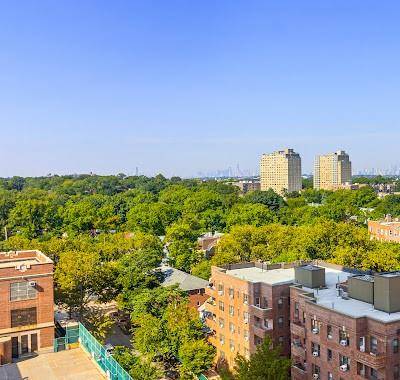 Kew Gardens, NY 11415,12510 Queens BLVD #818