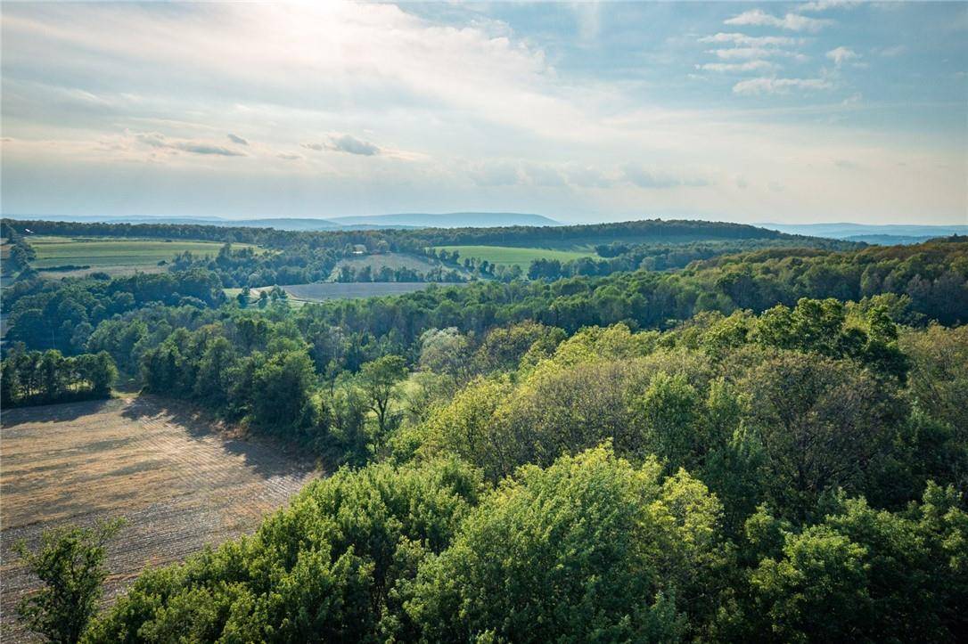 Millerton, NY 12546,5 Homestead Farm LN