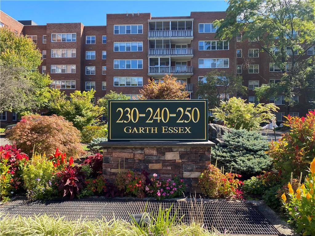 Scarsdale, NY 10583,230 Garth RD #6J1