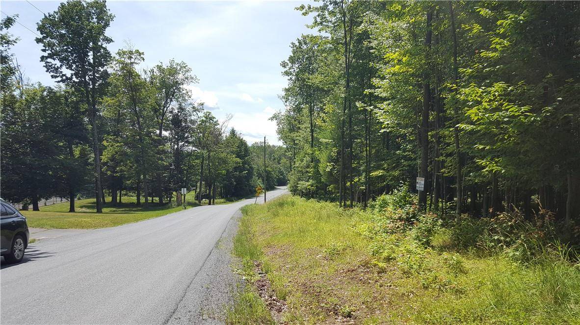 Swan Lake, NY 12783,Co Hwy 73