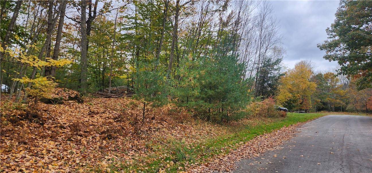 Fallsburg, NY 12733,Skunk Hollow RD